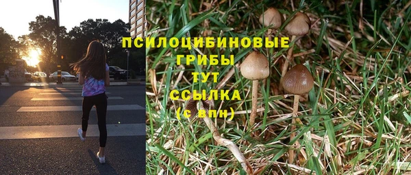 прущая мука Белоозёрский